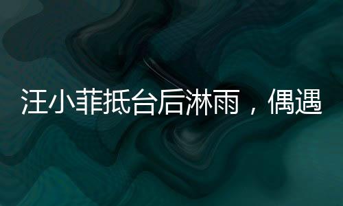 汪小菲抵台后淋雨，偶遇天气不佳，展现坚韧精神