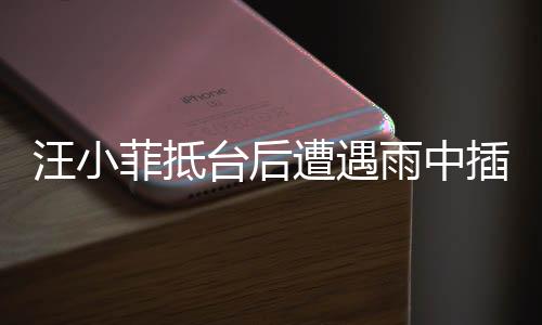 汪小菲抵台后遭遇雨中插曲
