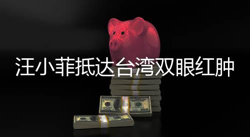汪小菲抵达台湾双眼红肿，引发关注热潮