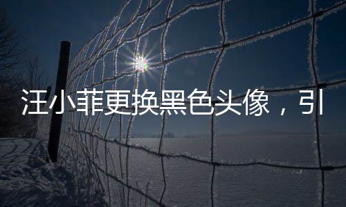 汪小菲更换黑色头像，引发网友热议