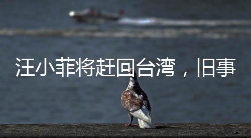 汪小菲将赶回台湾，旧事重现，瞩目热点新闻揭秘