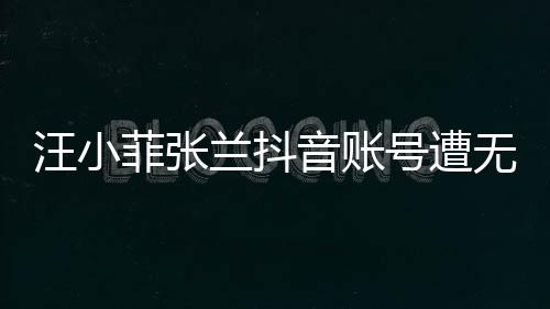 汪小菲张兰抖音账号遭无限期封禁，事件背后引发深思