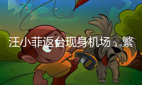 汪小菲返台现身机场，繁忙行程中的温馨归途