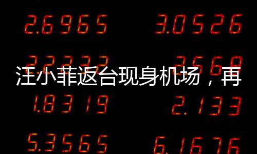 汪小菲返台现身机场，再度回归引发关注热潮