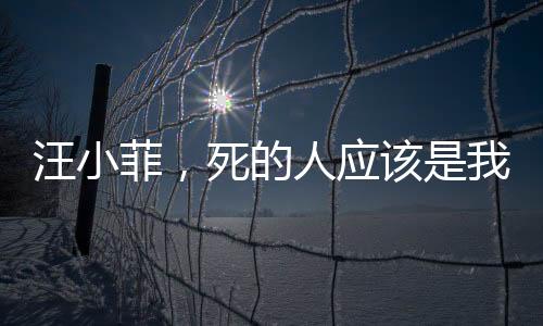 汪小菲，死的人应该是我——深度解析背后的故事与情感纠葛