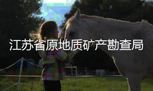 江苏省原地质矿产勘查局巡视员施民接受审查调查
