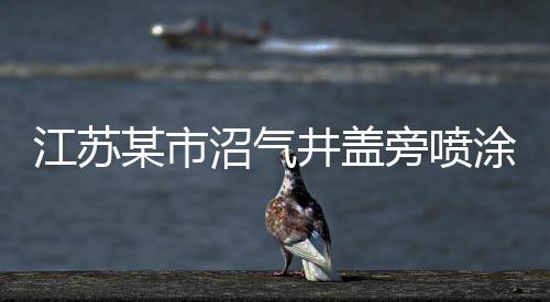 江苏某市沼气井盖旁喷涂警示标志，提升安全，减少风险