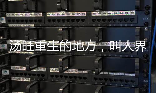 汤旺重生的地方，叫人界
