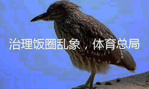 治理饭圈乱象，体育总局出手，重塑文化生态