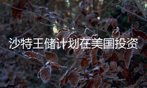 沙特王储计划在美国投资高达6000亿美元，全球金融新动向解析