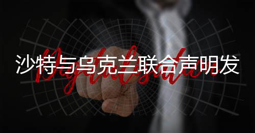 沙特与乌克兰联合声明发布，两大国际巨头寻求共同合作与和平发展之路