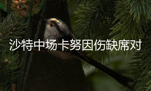 沙特中场卡努因伤缺席对阵中国，球迷的遗憾与期待