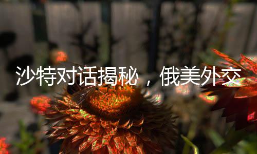 沙特对话揭秘，俄美外交角逐背后究竟谈些什么？并无乌克兰议题