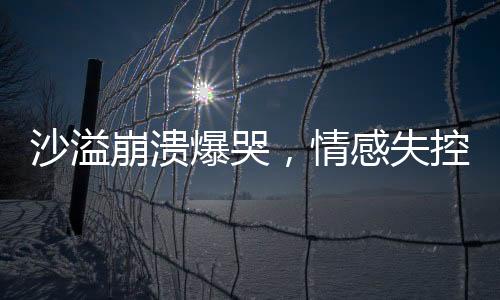 沙溢崩溃爆哭，情感失控背后的故事与触动