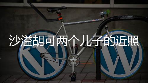 沙溢胡可两个儿子的近照，家庭幸福展现