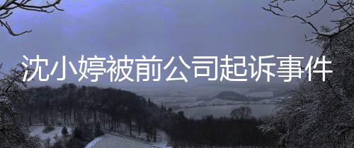 沈小婷被前公司起诉事件详述