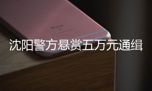 沈阳警方悬赏五万元通缉嫌犯，呼吁社会各界共同参与打击犯罪行动