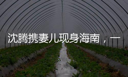 沈腾携妻儿现身海南，一家尽享悠闲时光