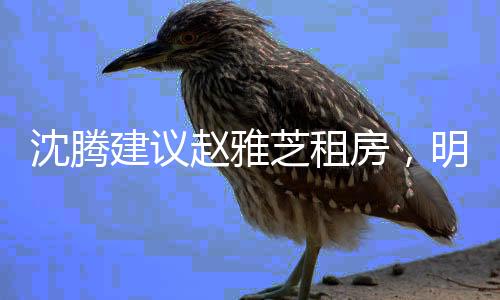沈腾建议赵雅芝租房，明星置业观的新思考