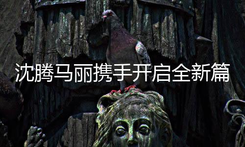 沈腾马丽携手开启全新篇章——探寻他们的新身份与未来展望