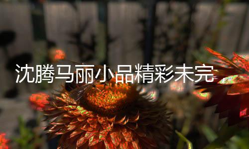 沈腾马丽小品精彩未完，观众期待继续