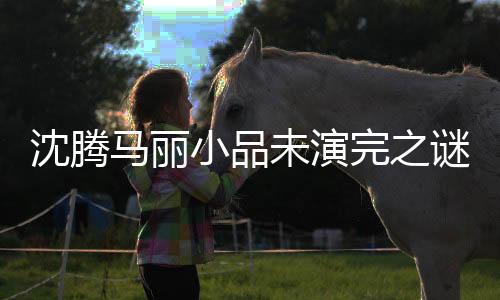 沈腾马丽小品未演完之谜揭晓，导演组的回应揭秘幕后故事