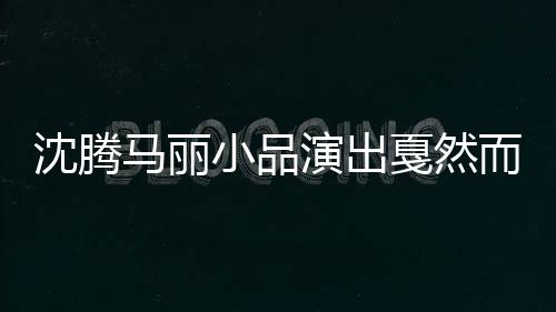 沈腾马丽小品演出戛然而止，引发观众热议的背后原因