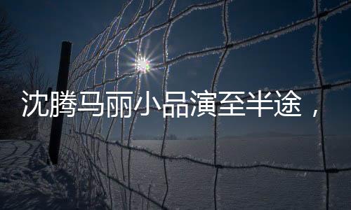 沈腾马丽小品演至半途，引发期待热议，观众期待后续精彩展现