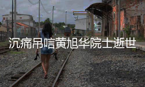 沉痛吊唁黄旭华院士逝世，潜艇模型献给他最后的致敬