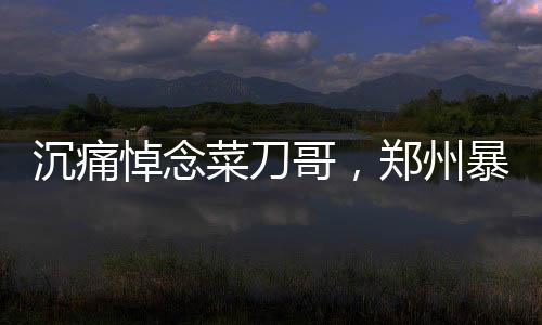 沉痛悼念菜刀哥，郑州暴雨救人英雄病逝