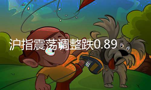 沪指震荡调整跌0.89%，逾4200股下跌，股市行情出现波动