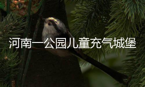 河南一公园儿童充气城堡突发塌陷事故