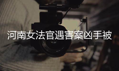 河南女法官遇害案凶手被依法执行死刑，正义终得伸张