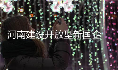 河南建设开放型新国企  加快企业“越洋出海”
