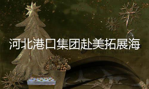 河北港口集团赴美拓展海运“朋友圈”