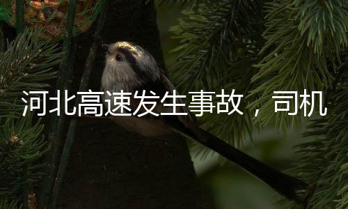 河北高速发生事故，司机选择继续回家之路