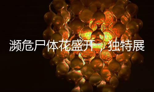 濒危尸体花盛开，独特展览吸引数千人排队参观