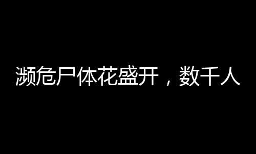 濒危尸体花盛开，数千人排队参观——背后的故事引人深思