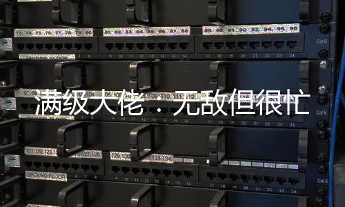 满级大佬：无敌但很忙