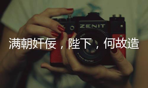 满朝奸佞，陛下，何故造反？
