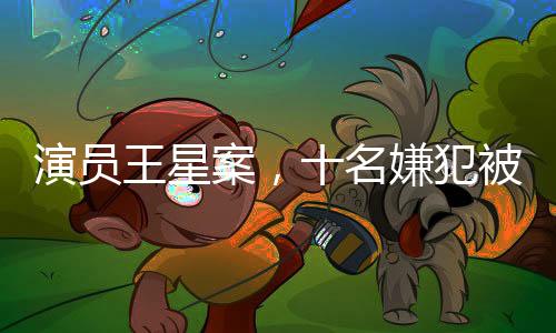 演员王星案，十名嫌犯被成功押解回国——揭秘整个案件的经过