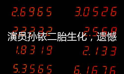 演员孙铱二胎生化，遗憾与祝福同在