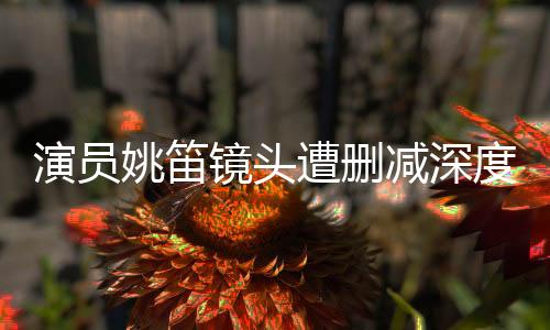 演员姚笛镜头遭删减深度解析