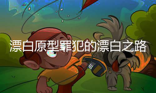 漂白原型罪犯的漂白之路，揭秘犯罪背后的真相
