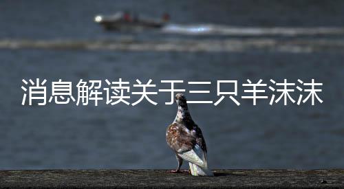 消息解读关于三只羊沫沫被取保候审的传闻分析