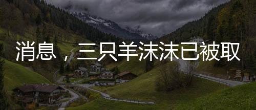 消息，三只羊沫沫已被取保候审，后续情况备受关注