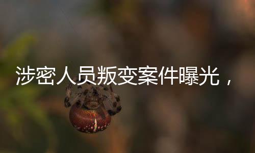 涉密人员叛变案件曝光，神秘细节揭秘成功迅速捉拿事件亲历者的内幕真相揭秘与自省警钟长鸣的警示教育故事