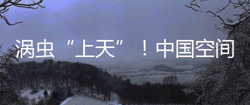 涡虫“上天”！中国空间站将迎新生命体