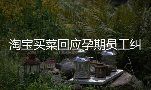 淘宝买菜回应孕期员工纠纷事件