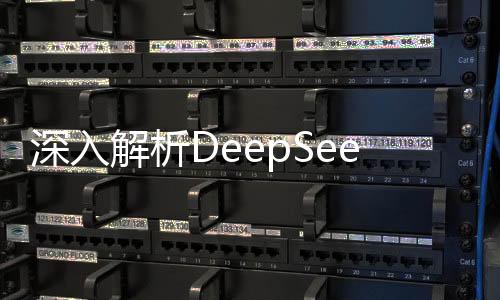 深入解析DeepSeek，探究其对寒假作业辅助的能力